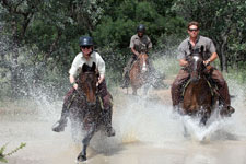 South Africa-Waterberg-Waterberg Safari Lodge